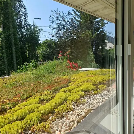 Botanical * Konstancin-Jeziorna